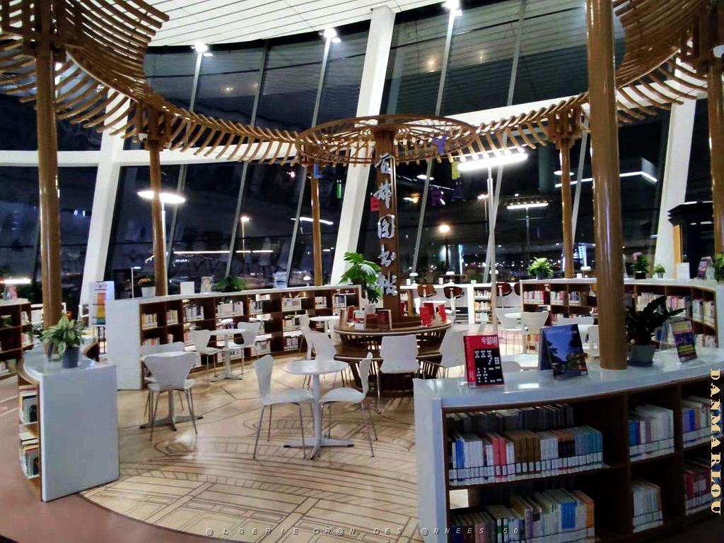 2023 02 06 PEKIN - DAKIN AEROPORT LA BIBLIOTHEQUE (5).jpg